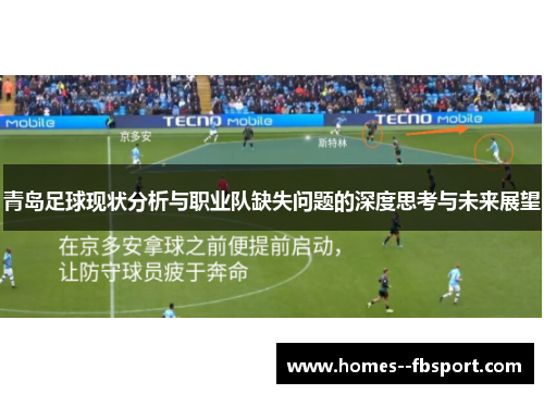 青岛足球现状分析与职业队缺失问题的深度思考与未来展望