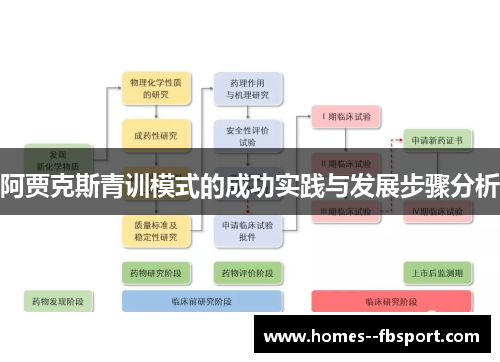 阿贾克斯青训模式的成功实践与发展步骤分析